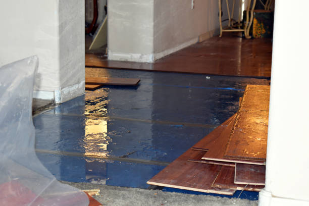 Professional Basement Flood Cleanup technician working in Brainard, NY